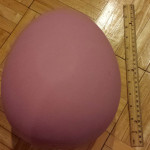 egg-web