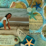 Beach beautiful is wild