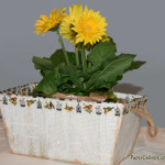 Make a spring planter with this Target Dollar Spot hack