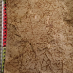 Paper-Calliope-Journal-jack-making-paper