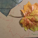 Paper-Calliope-Journal-leaf-trace-2