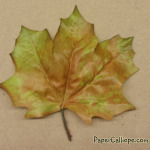 Paper-Calliope-Journal-leaf-trace