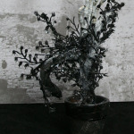 Spook up your Halloween with these creepy plants Spook up your Halloween with these creepy plants