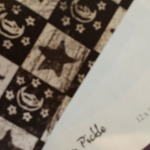 Paper-Calliope-creepy-plant-rusty-pickle