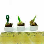 Itty bitty teeny tiny–how to make miniature flower bulbs