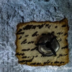 Northwoods-Folio-by-Betsy-Skagen-165735